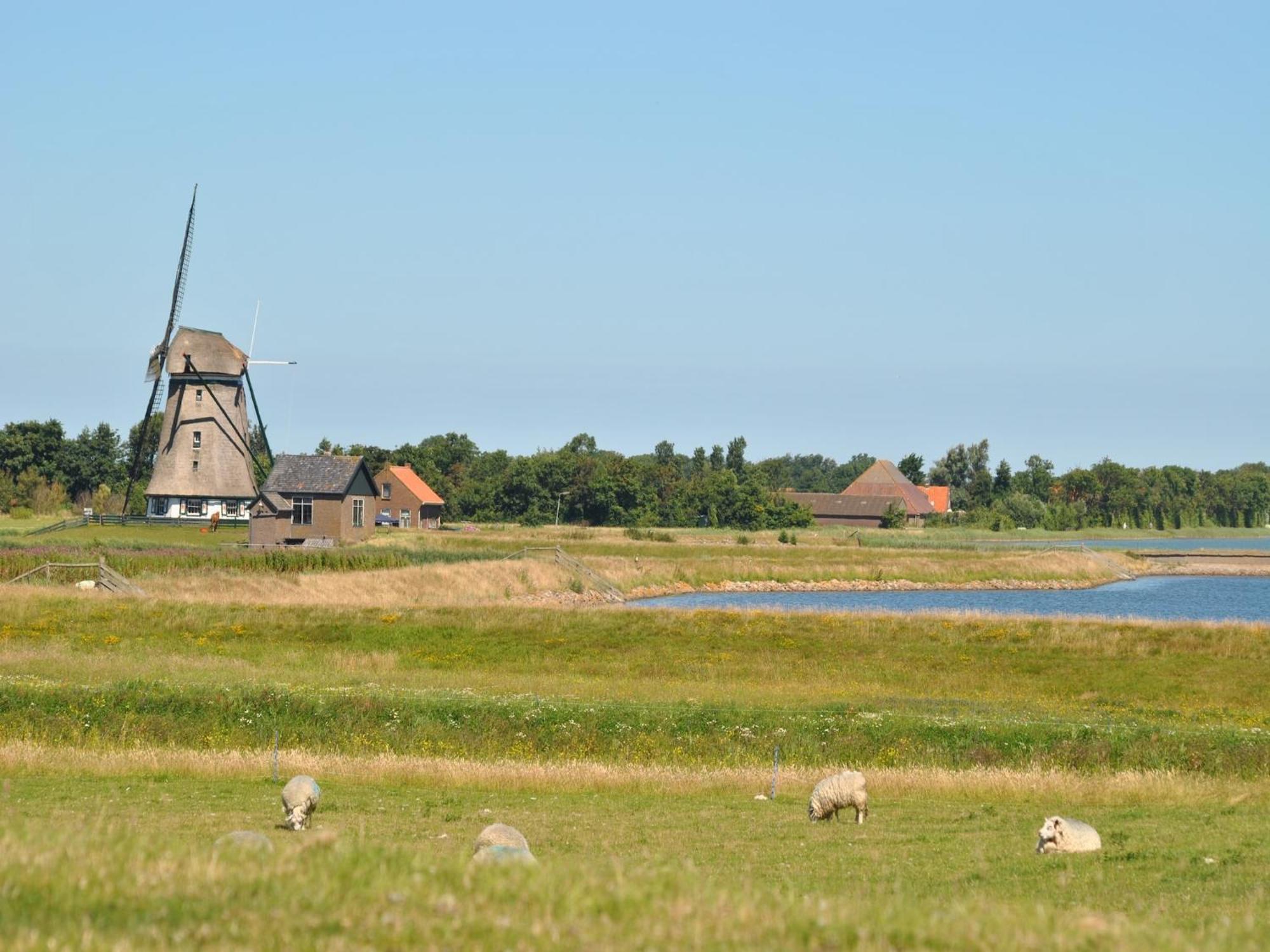 Oost  Charming Holiday Home In Texel Near Sea מראה חיצוני תמונה